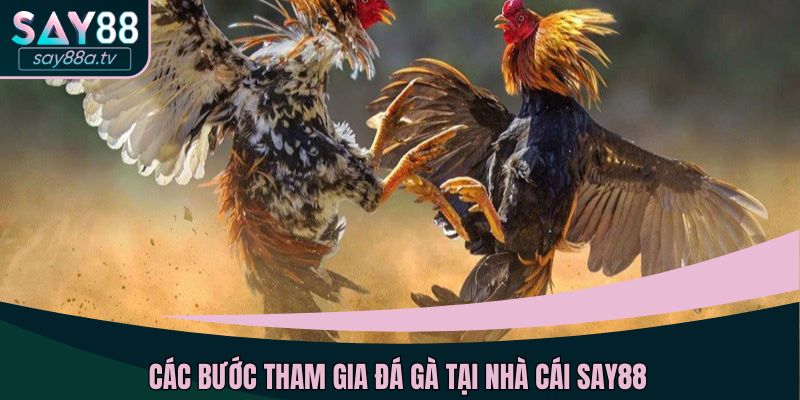 Các bước tham gia đá gà tại nhà cái SAY88
